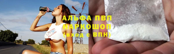 PSILOCYBIN Балабаново