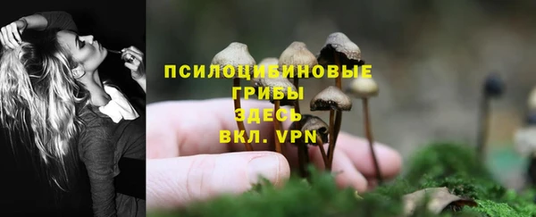PSILOCYBIN Балабаново