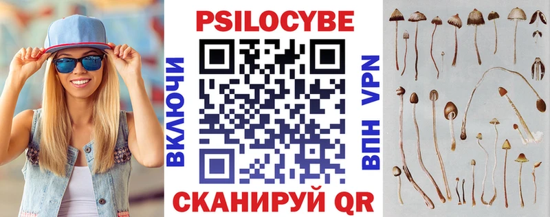Галлюциногенные грибы мицелий  как найти   Бабаево 