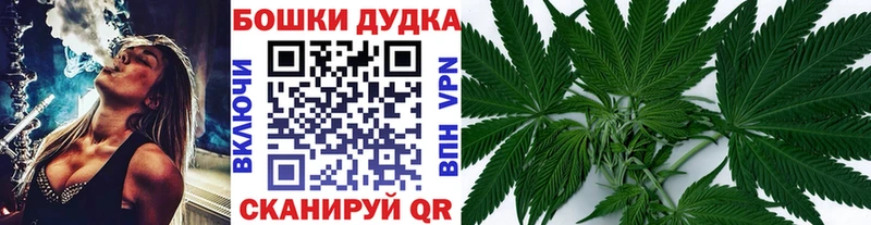 Конопля гибрид Бабаево